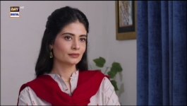 Baby Baji Ki Bahuwain - Episode 60 - 21st November 2024